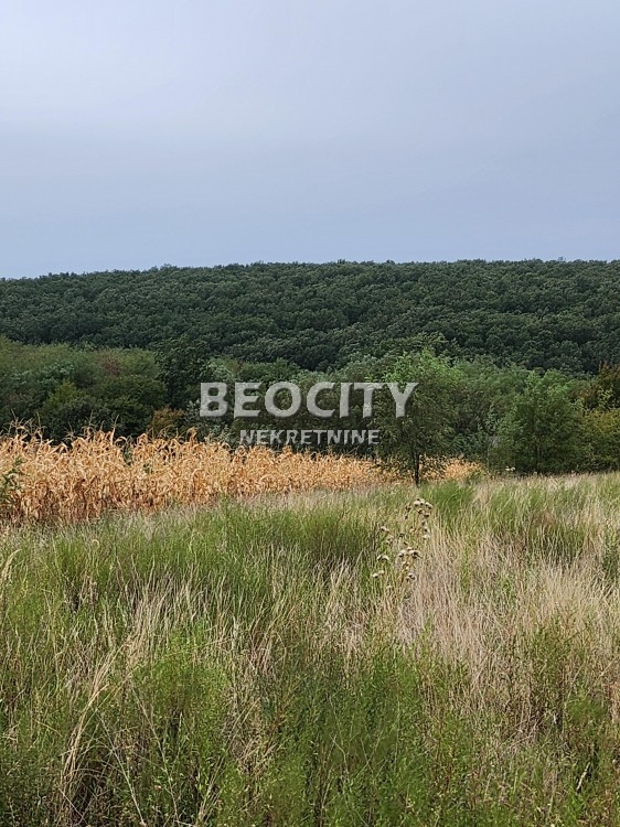 Plac, Sremčica, Kukinje njive ID: 112168 2