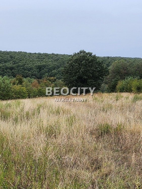 Plac, Sremčica, Kukinje njive ID: 112168 3