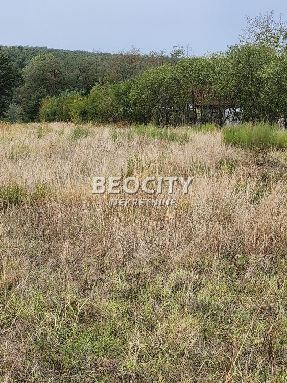 Plac, Sremčica, Kukinje njive ID: 112168 4