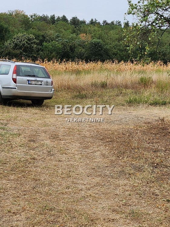 Plac, Sremčica, Kukinje njive ID: 112168 6