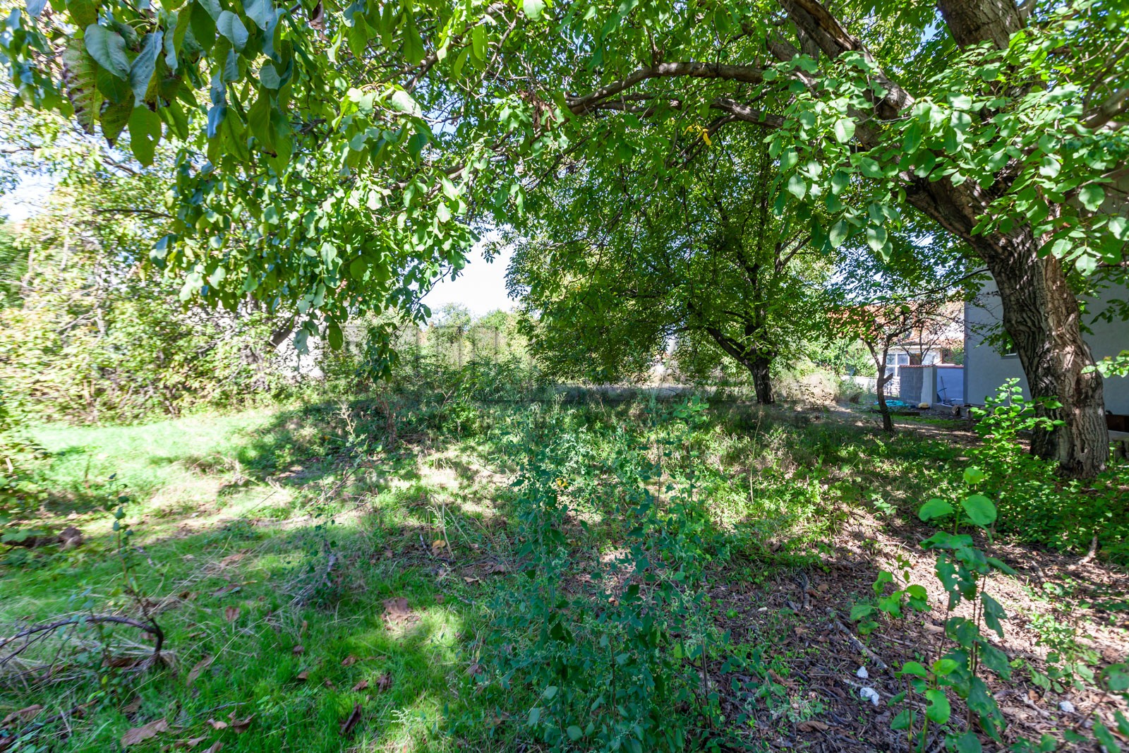 četvorosobna kuća, 365 m2, Palilula, Topličkog partizanskog odreda ID: p-012379 17