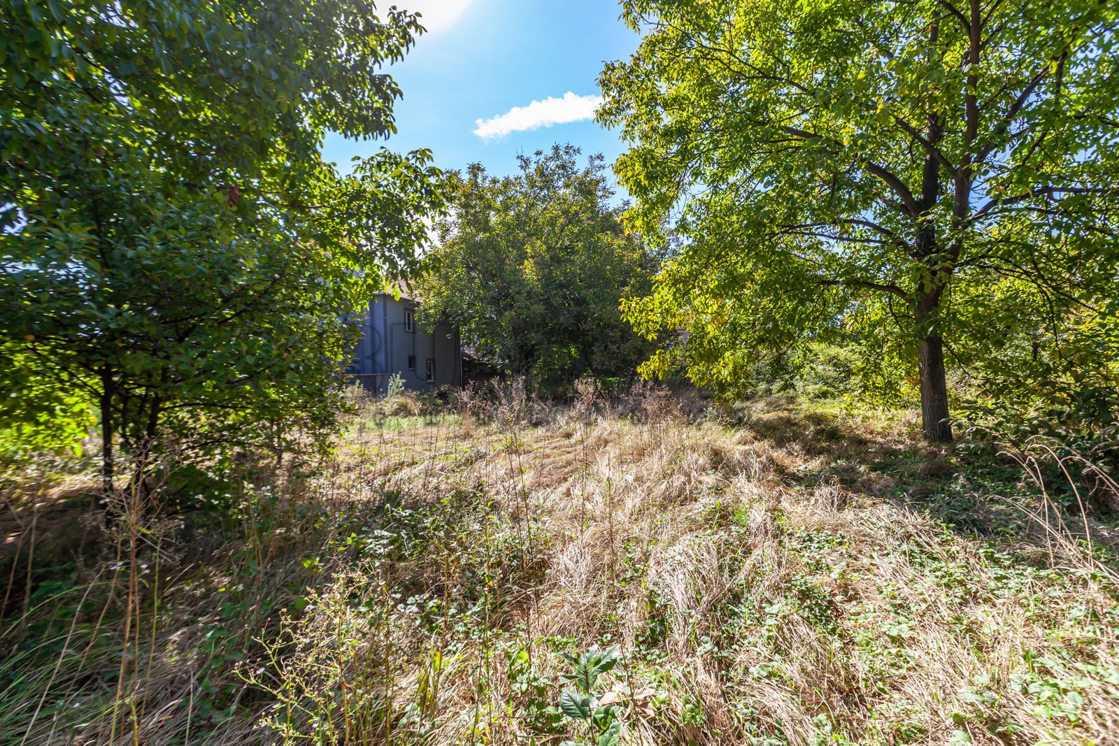 četvorosobna kuća, 365 m2, Palilula, Topličkog partizanskog odreda ID: p-012379 19