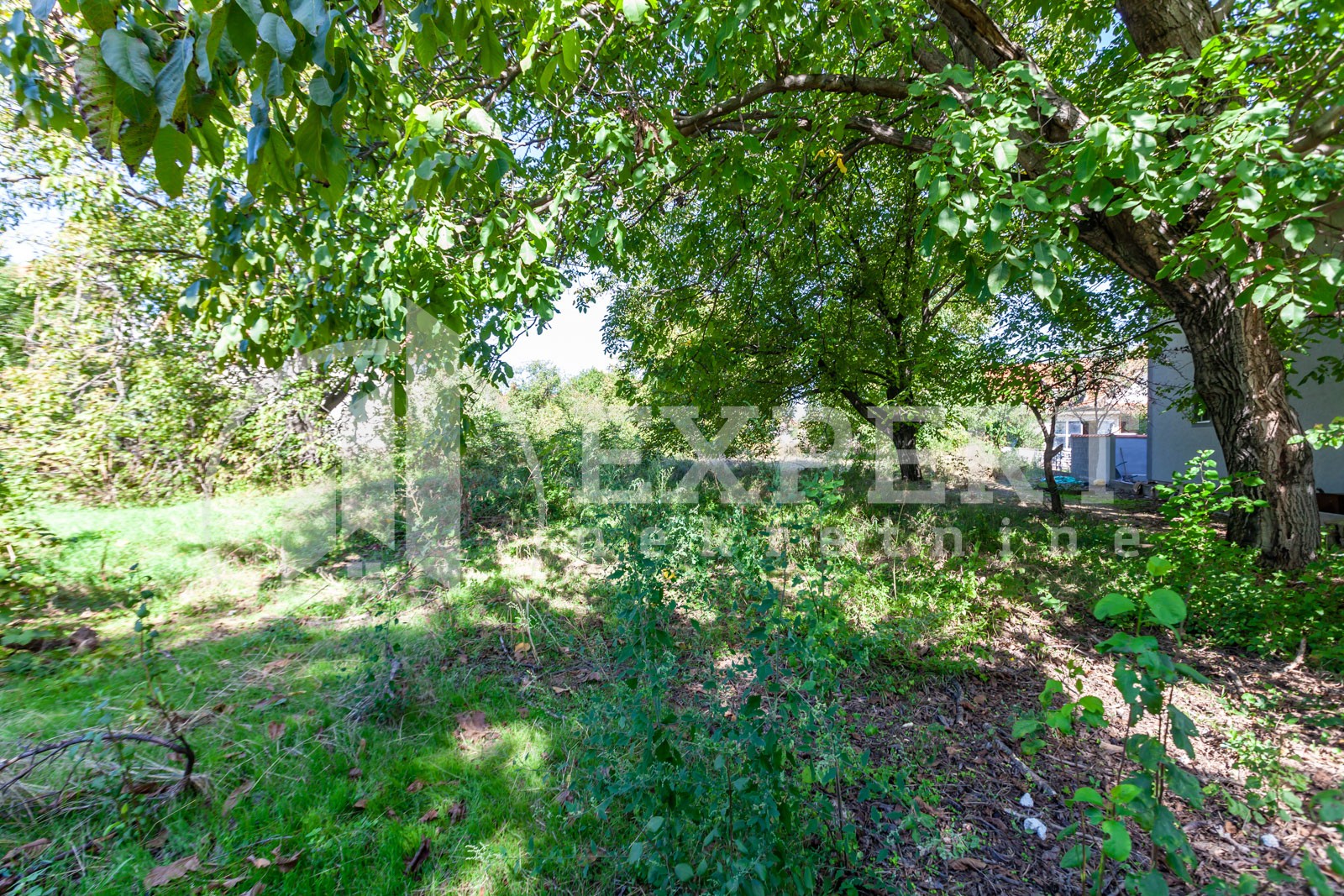 četvorosobna kuća, 365 m2, Palilula, Topličkog partizanskog odreda ID: p-012379 17