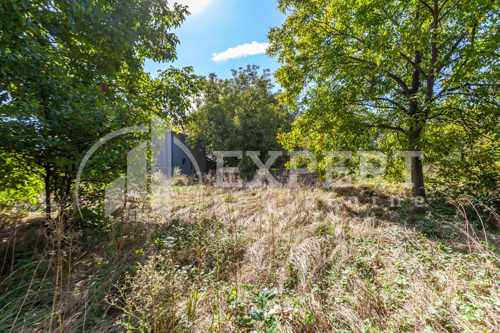 četvorosobna kuća, 365 m2, Palilula, Topličkog partizanskog odreda ID: p-012379 19