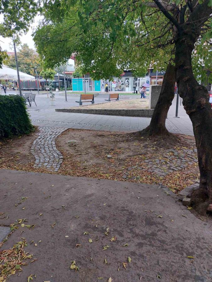 Na prodaju lokal u samom centru 3