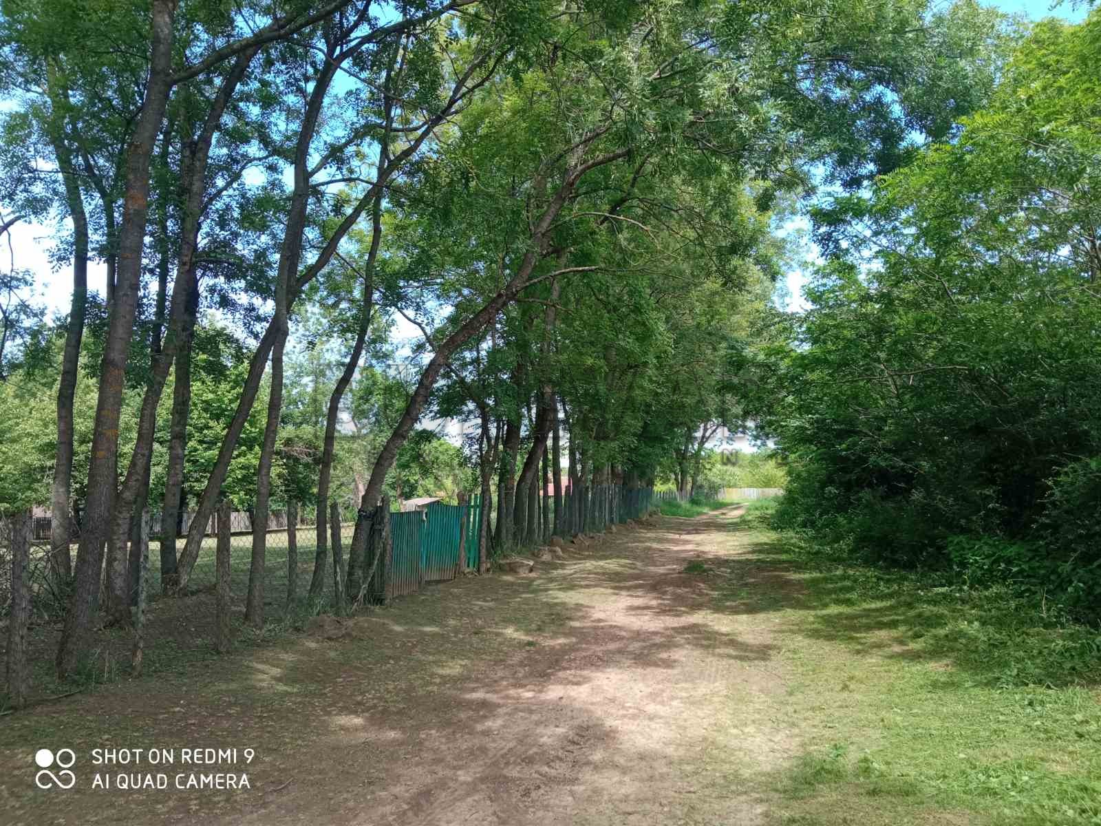 Plac, Grivac, Grivac ID: p-012414 10