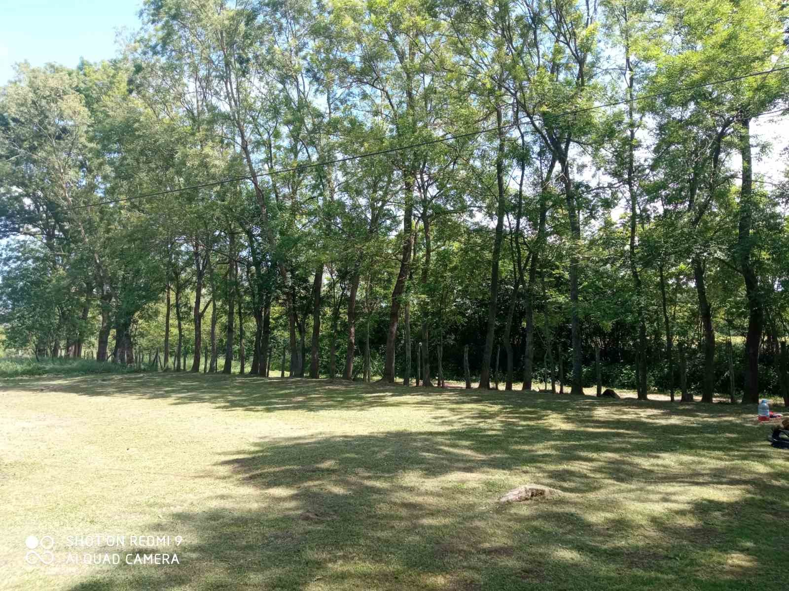 Plac, Grivac, Grivac ID: p-012414 7