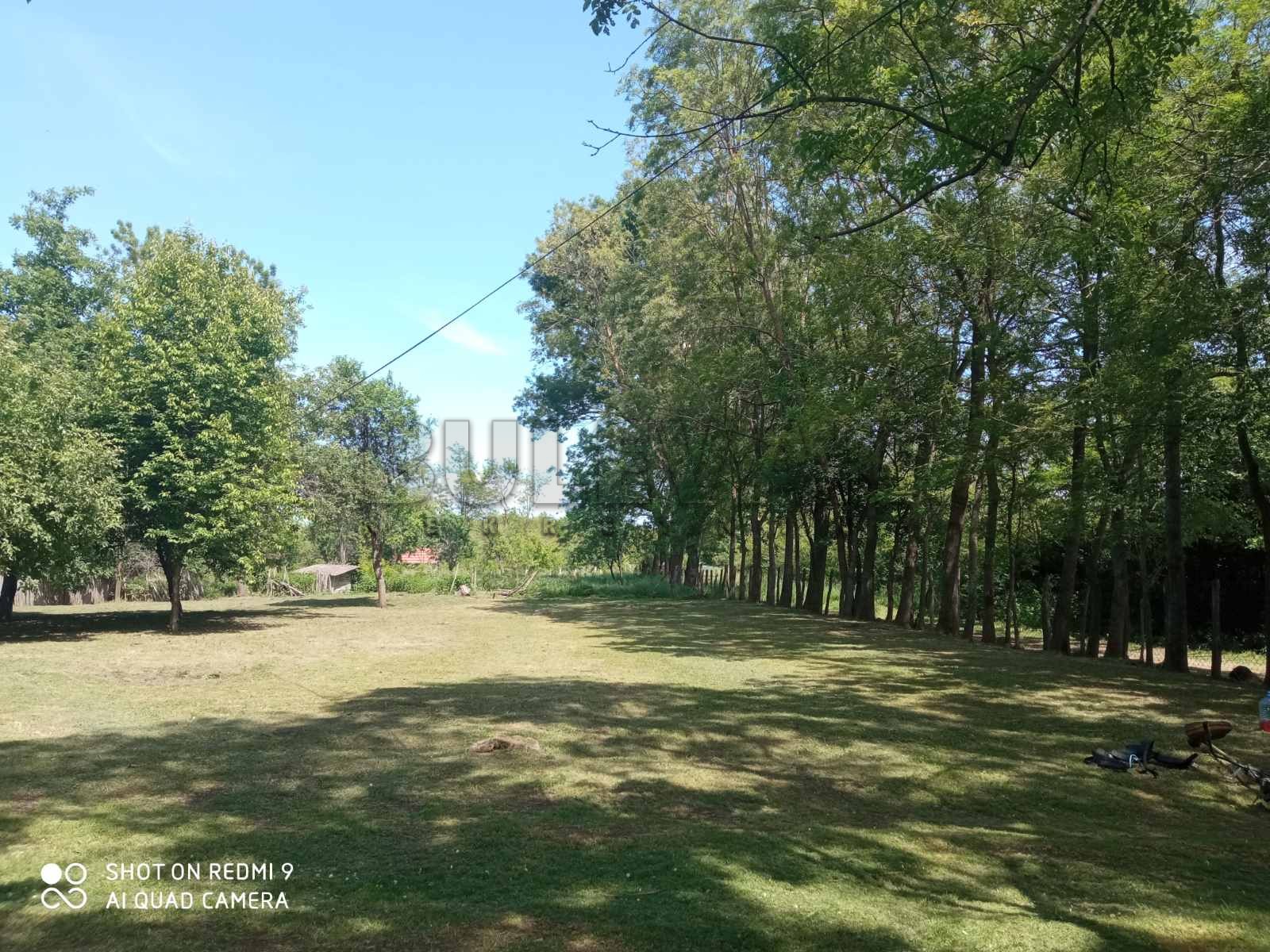 Plac, Grivac, Grivac ID: p-012414 9