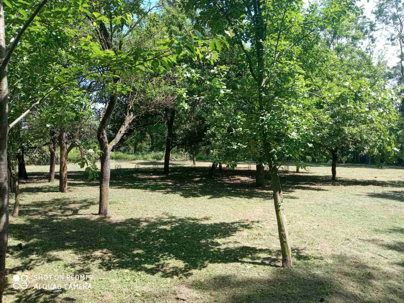 Plac, Grivac, Grivac ID: p-012414 4