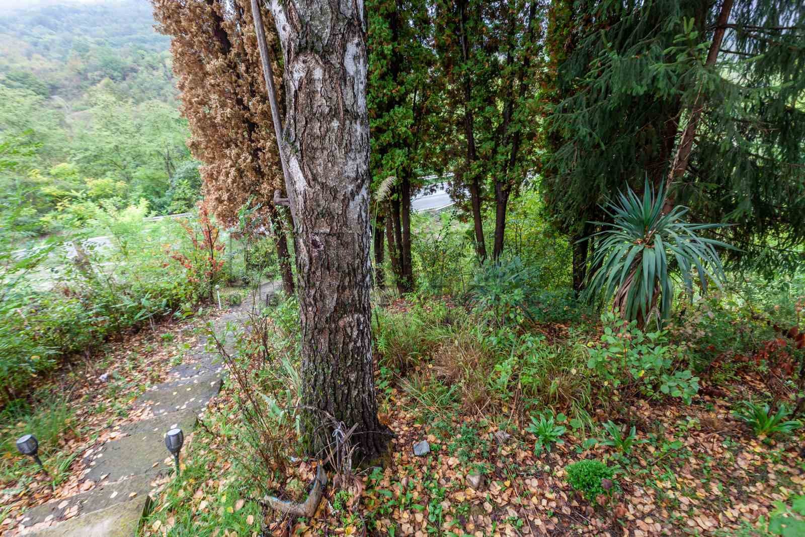 Dvosobna kuća, 50 m2, Ostrovica, Ostrovica ID: p-012483 9