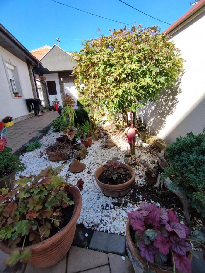 Kuća na ekstra lokaciji 20