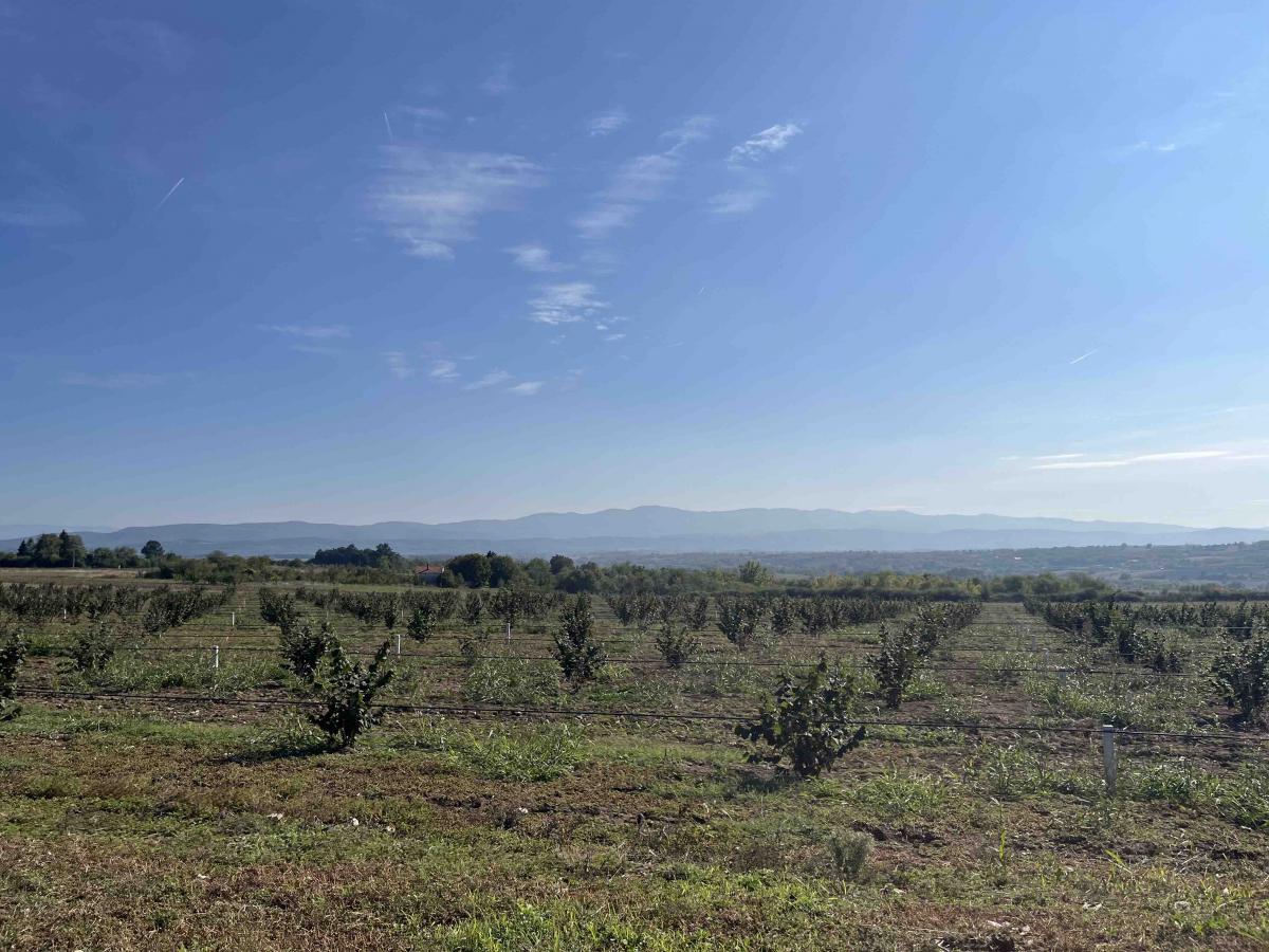 Vikendica sa prelepim pogledom okružena zelenilom. 11
