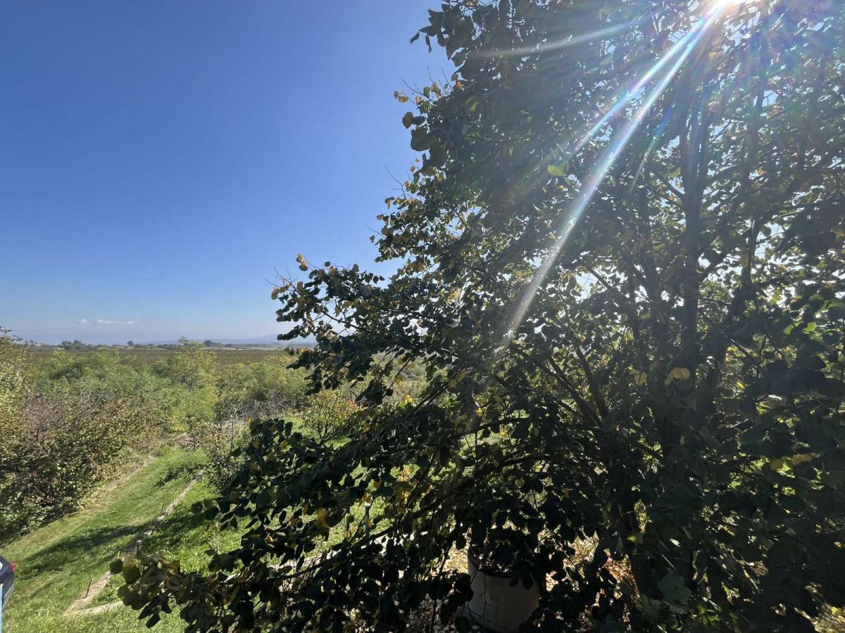 Vikendica sa prelepim pogledom okružena zelenilom. 7