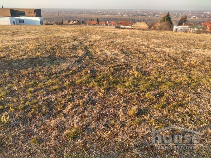 Plac,RAKOVAC,SALAKSIJE6577m2,  592000€ , ID: 7080651 1