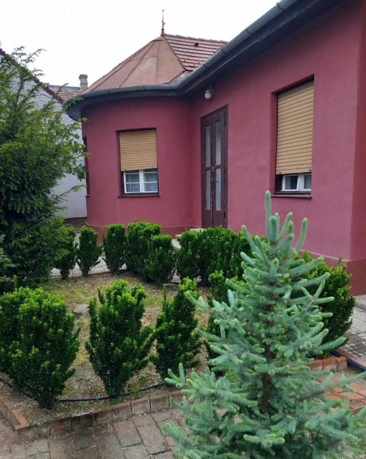 Prodajem vilu u strogom centru Zrenjanina 4