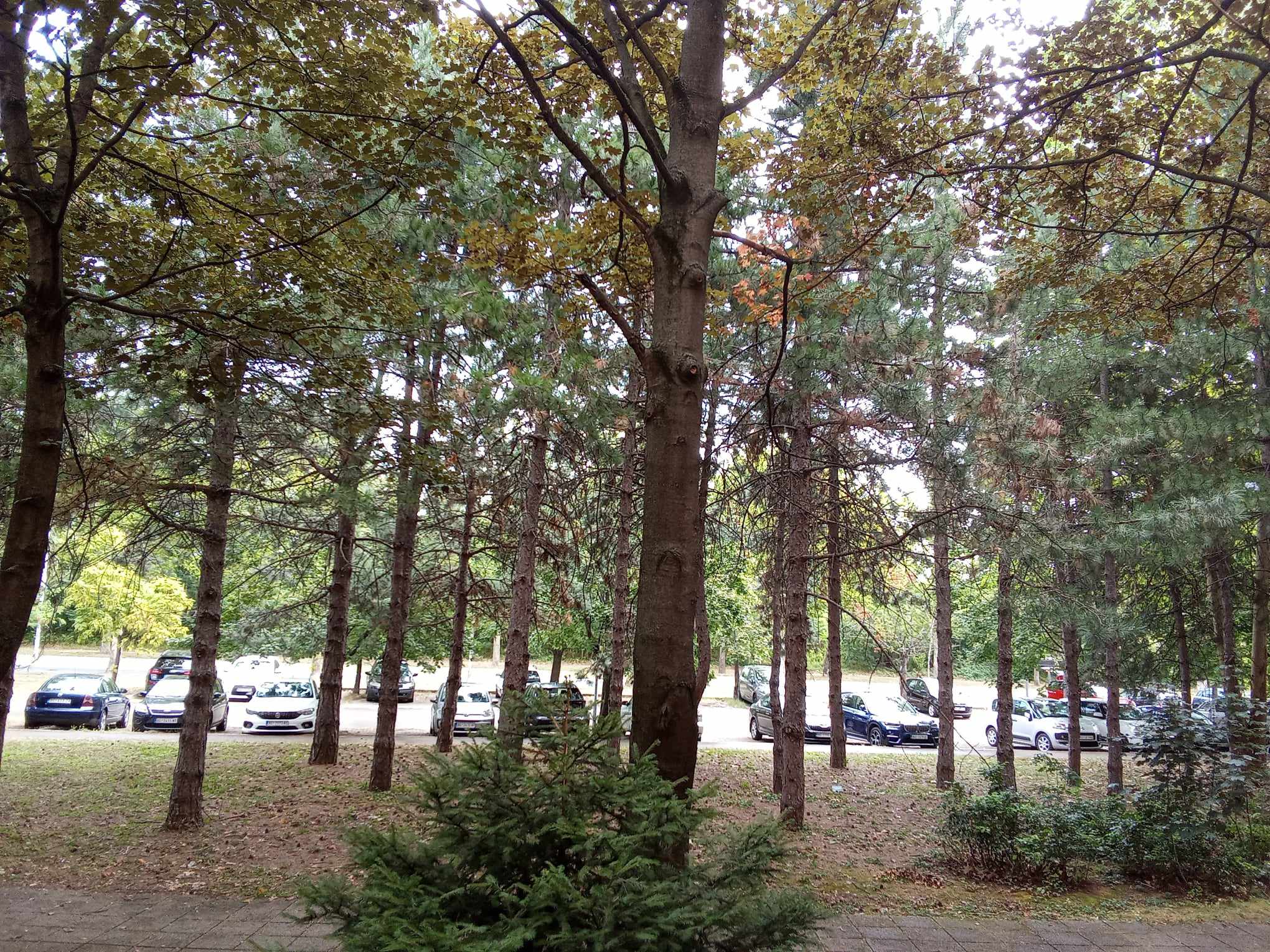 Flat terrace parking Belgrade Prodaj stan direkt vlasnik Celebonovica Bezanija Belgrade Expo 2027 invest estate property bez provizje posrednika 18