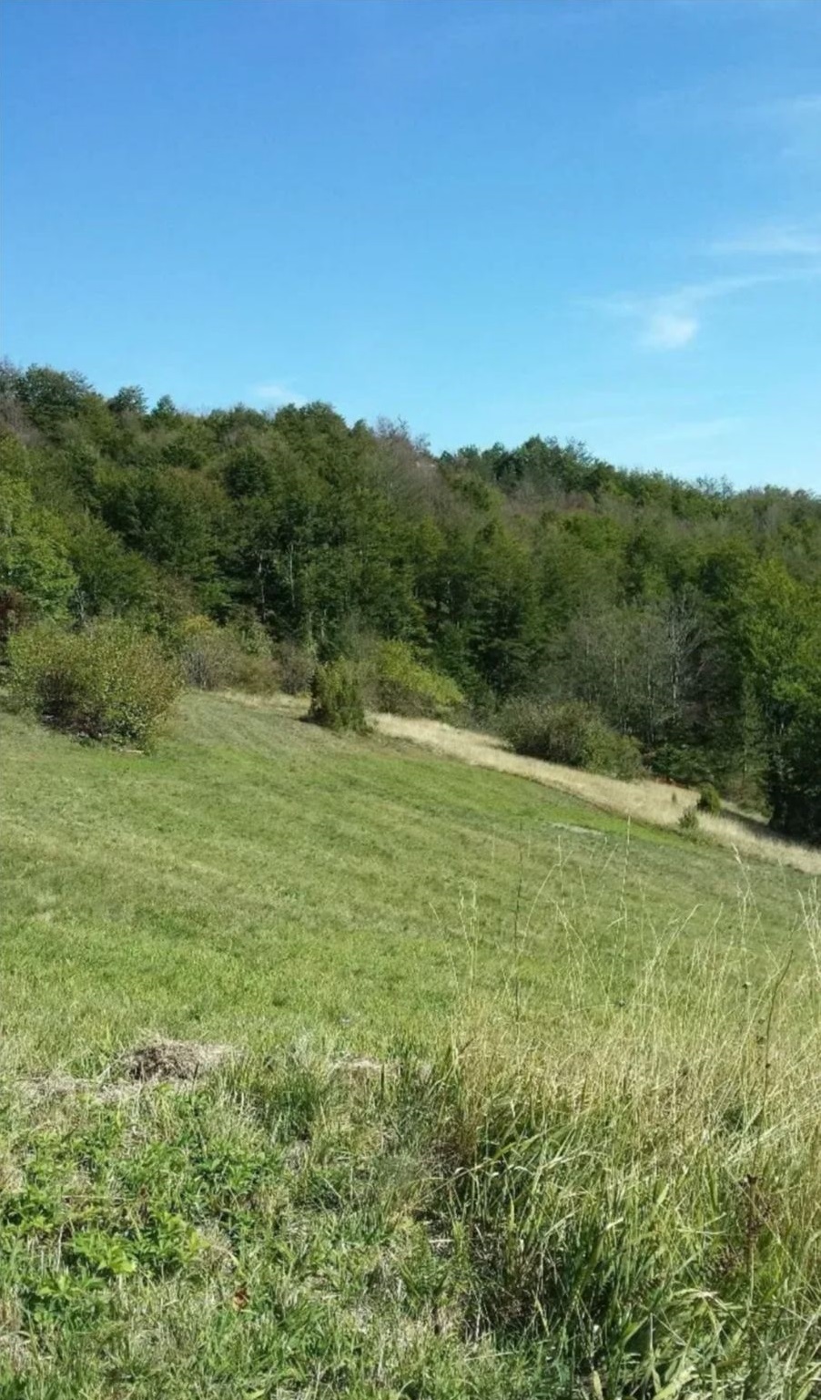 Plac ispod Cigote Zlatibor 3