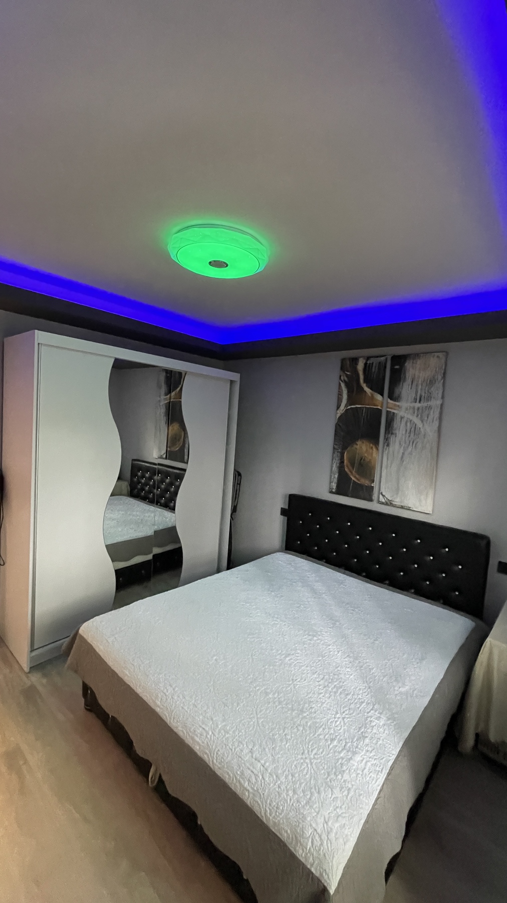 Prodajem LUX stan 36 6m2 Karaburma uknjizen 4