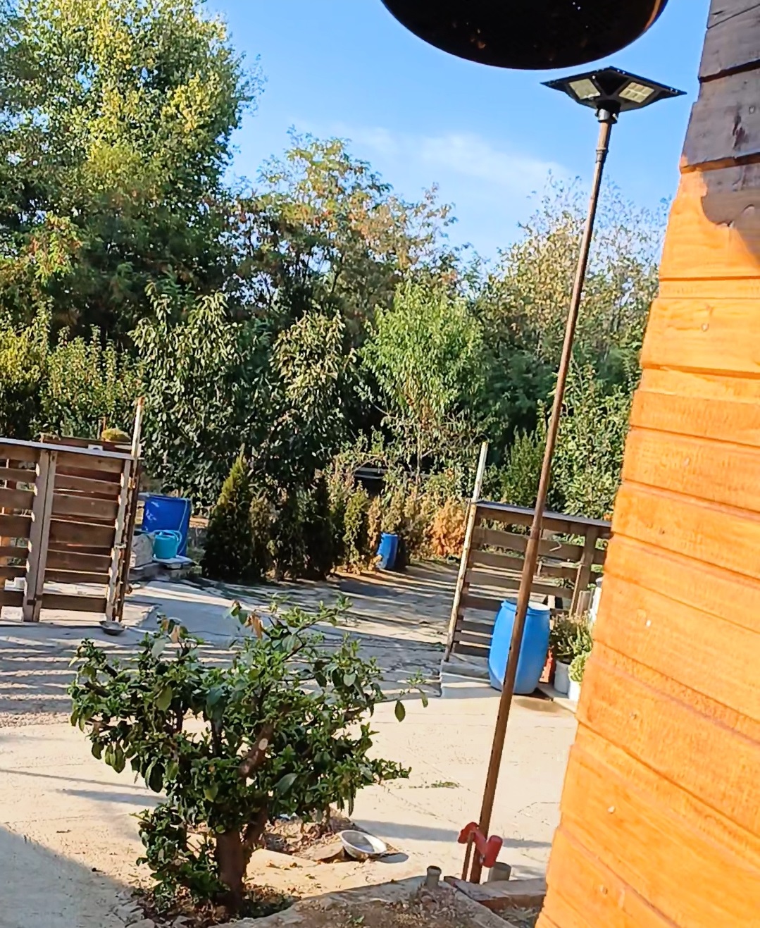 Vikendica sa pomocnim objektima na Dunavu 3