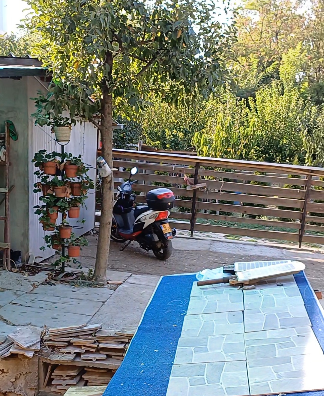 Vikendica sa pomocnim objektima na Dunavu 4