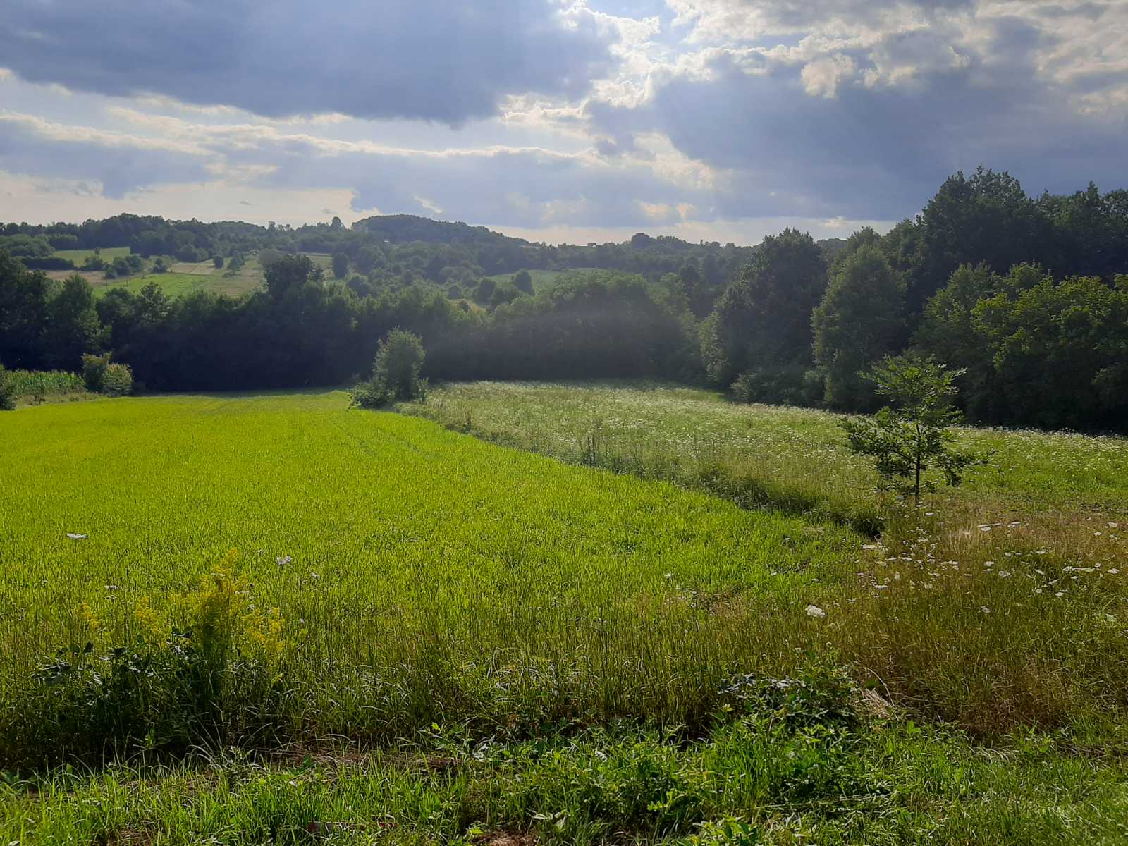 Prodaja placa selo Tijanje plus vodenica 2