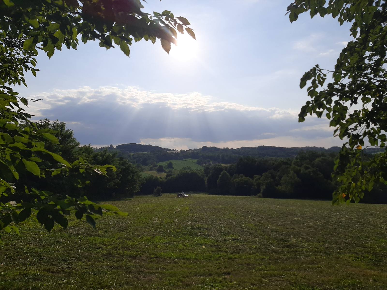 Prodaja placa selo Tijanje plus vodenica 3
