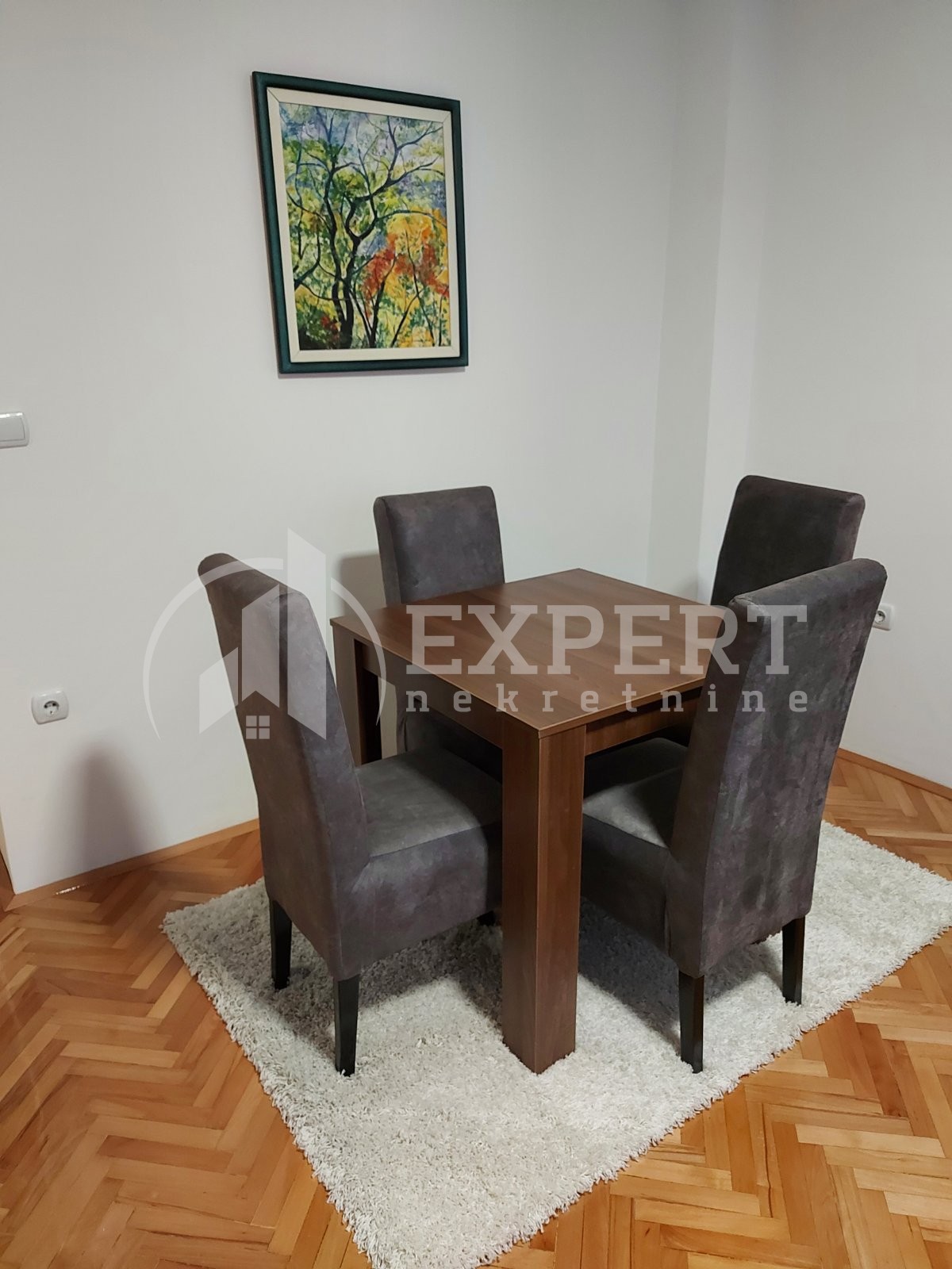 Jednosoban stan, 48 m2, Centar, Generala Milojka Lešjanina ID: i-012690 4