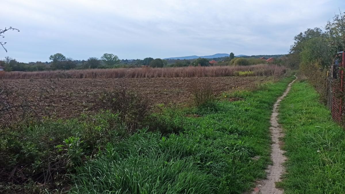 Parcele za izgradnju kuća u Panjevačkom Ritu gradska lokacija Jagodina 5