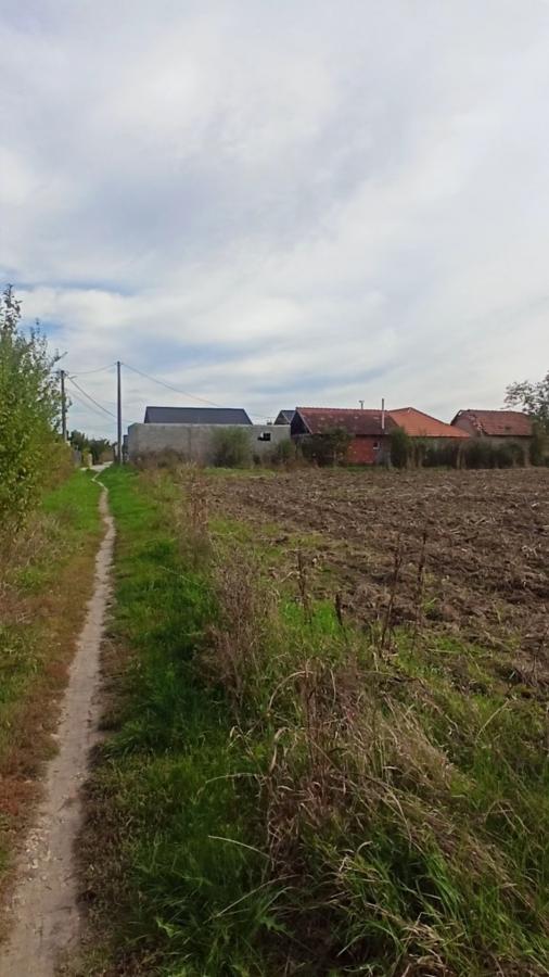 Parcele za izgradnju kuća u Panjevačkom Ritu gradska lokacija Jagodina 23