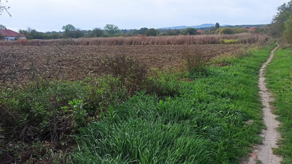 Parcele za izgradnju kuća u Panjevačkom Ritu gradska lokacija Jagodina 6