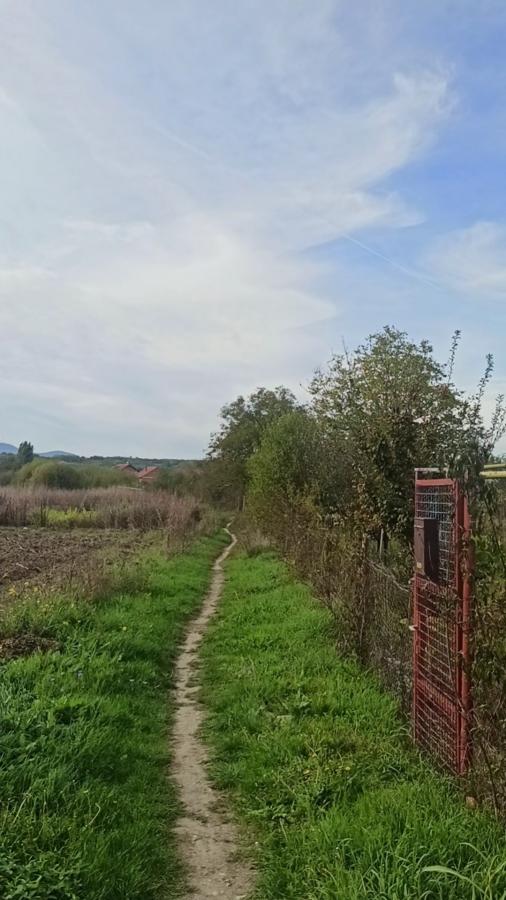 Parcele za izgradnju kuća u Panjevačkom Ritu gradska lokacija Jagodina 7