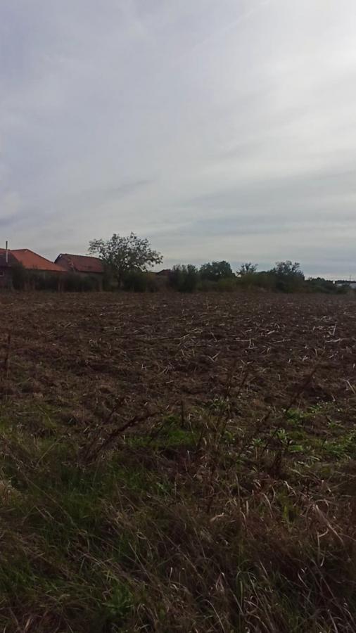 Parcele za izgradnju kuća u Panjevačkom Ritu gradska lokacija Jagodina 24