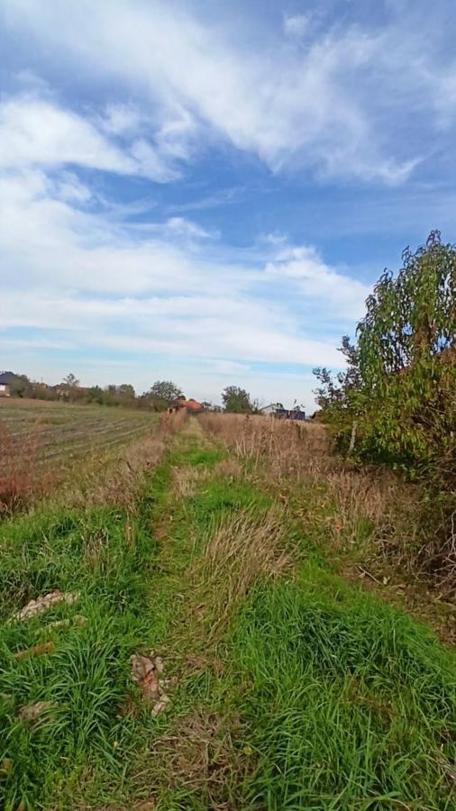 Parcele za izgradnju kuća u Panjevačkom Ritu gradska lokacija Jagodina 16