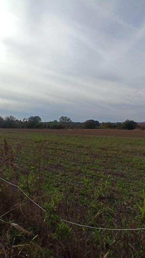 Parcele za izgradnju kuća u Panjevačkom Ritu gradska lokacija Jagodina 14