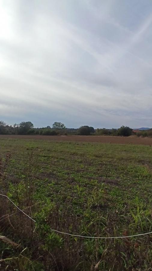 Parcele za izgradnju kuća u Panjevačkom Ritu gradska lokacija Jagodina 12