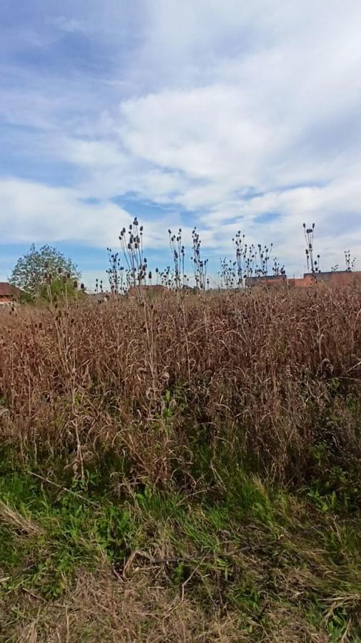 Parcele za izgradnju kuća u Panjevačkom Ritu gradska lokacija Jagodina 13