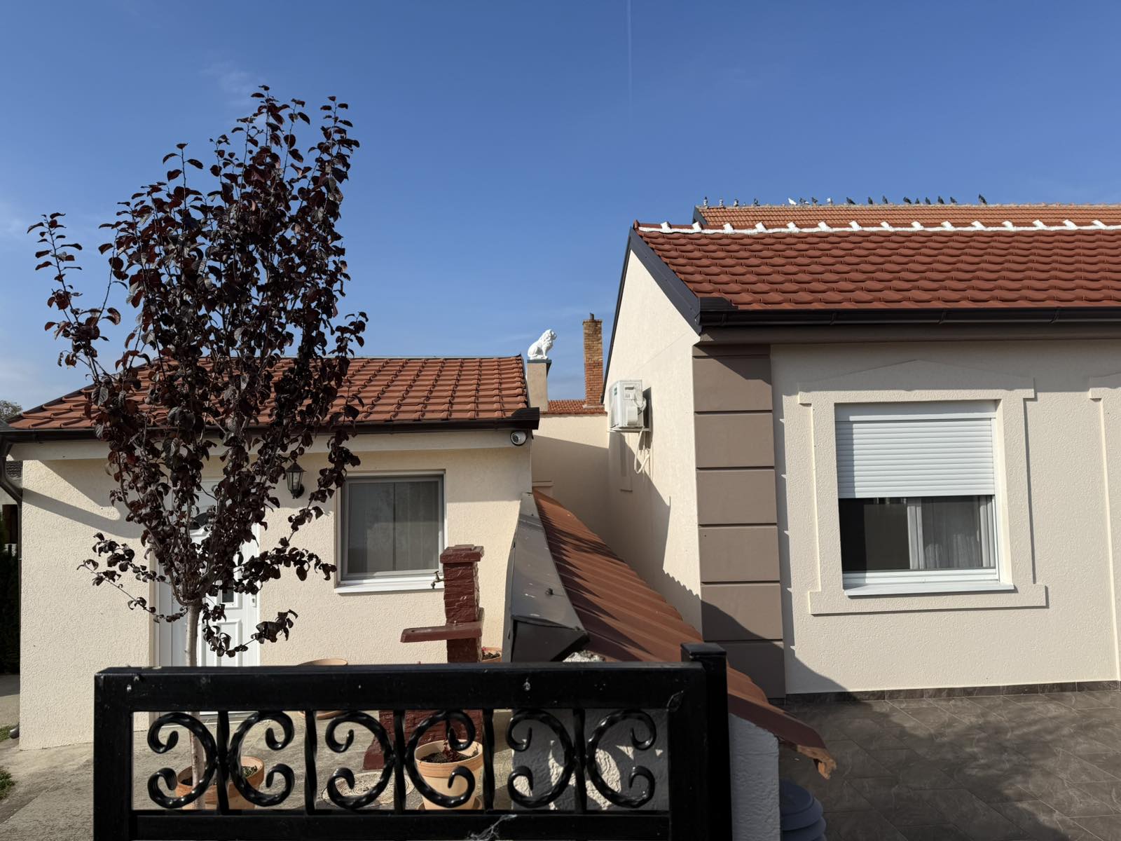 Nova LUX kuca kod Panceva moze na RATE 5