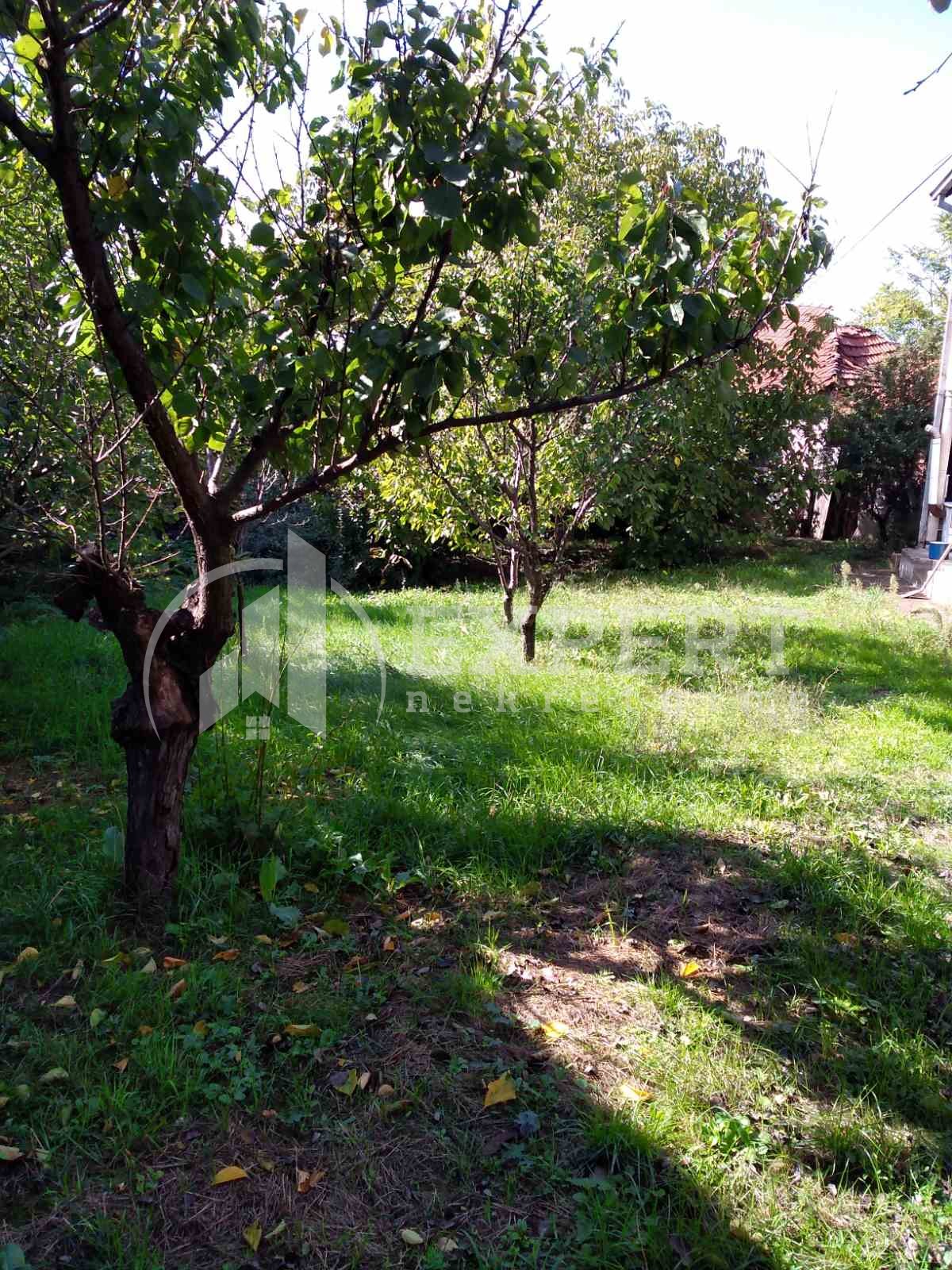 četvorosobna kuća, 90 m2, Palilula, Berbatovo ID: p-012720 5