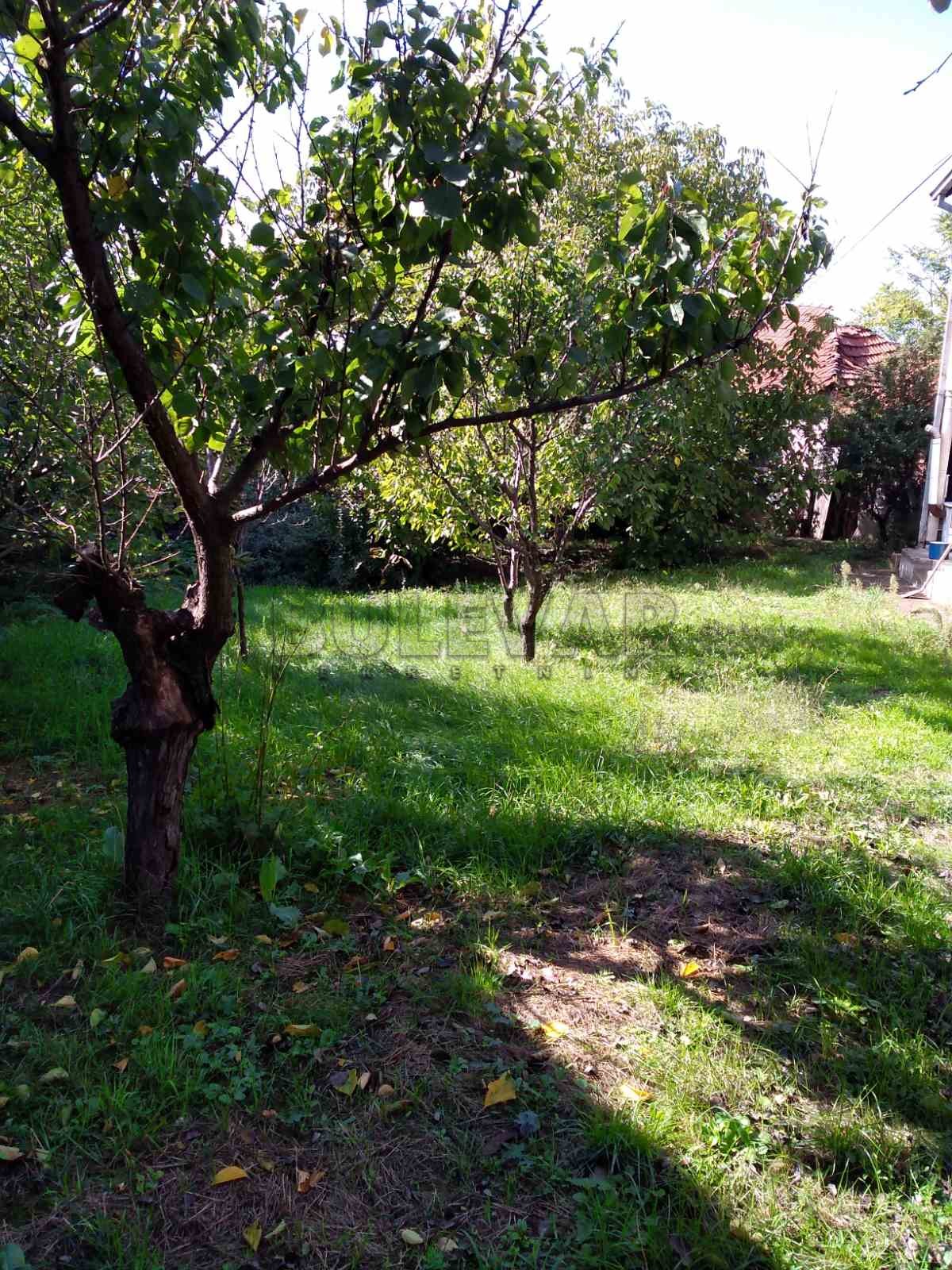 četvorosobna kuća, 90 m2, Palilula, Berbatovo ID: p-012720 5