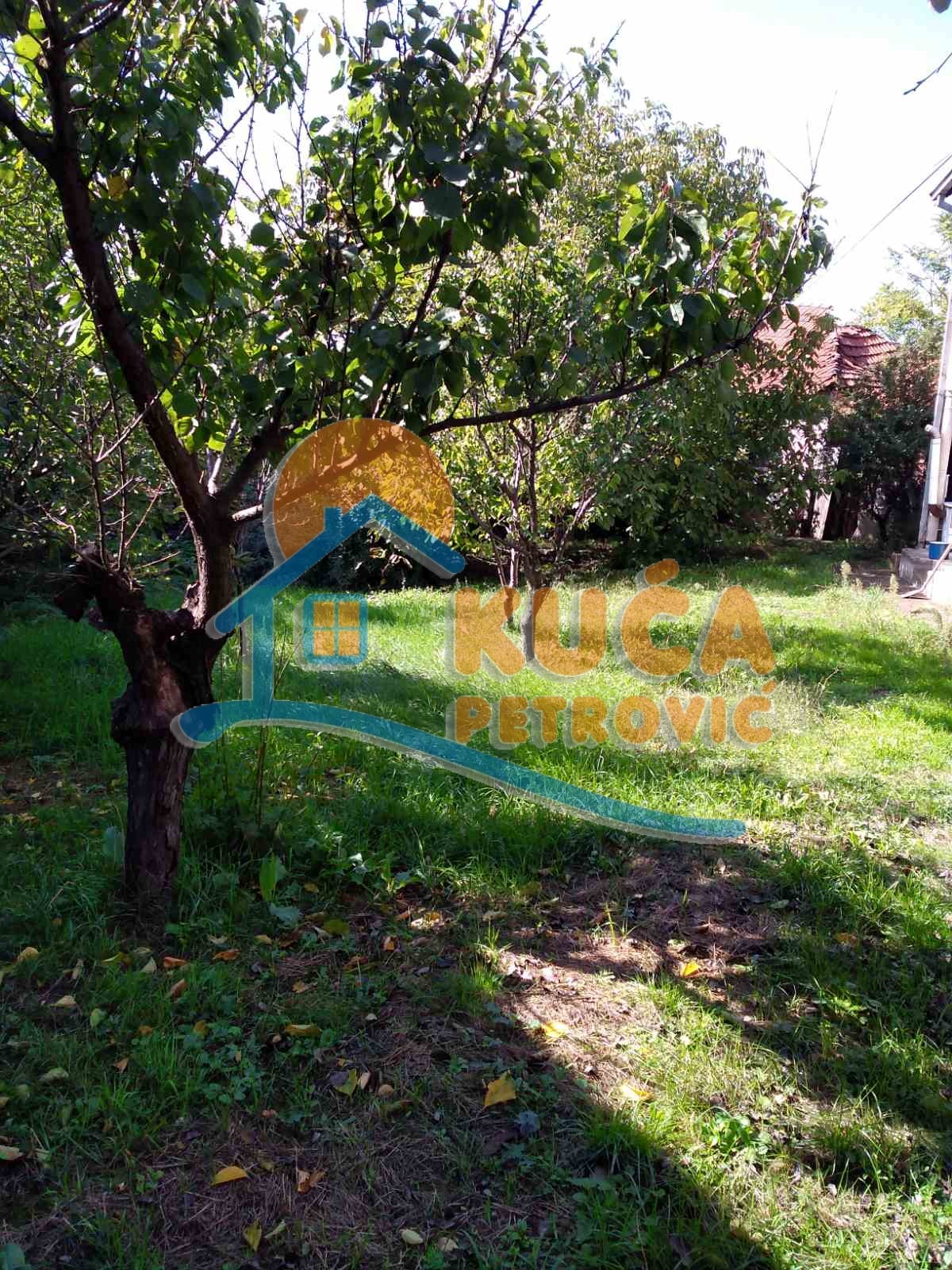 četvorosobna kuća, 90 m2, Palilula, Berbatovo ID: p-012720 5