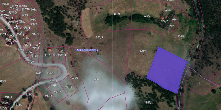 Plac Tometino polje Divcibare 1