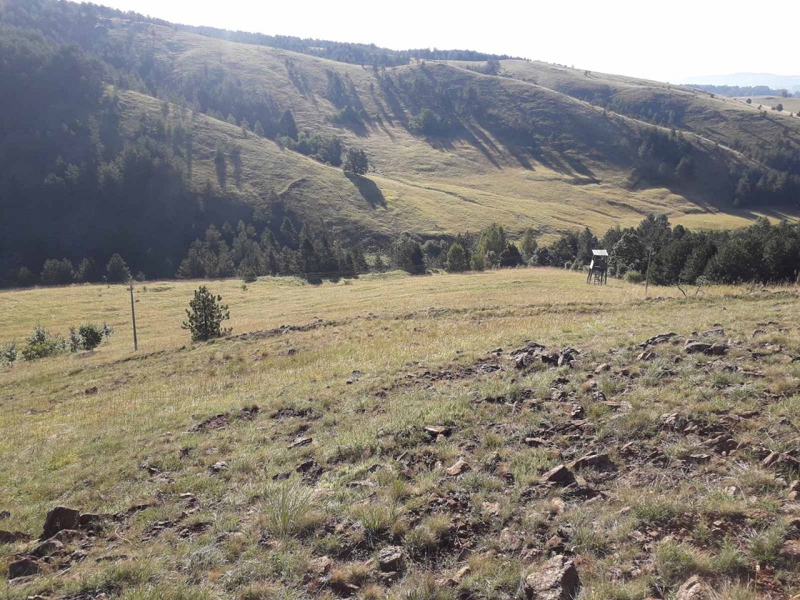 Plac Tometino polje Divcibare 5