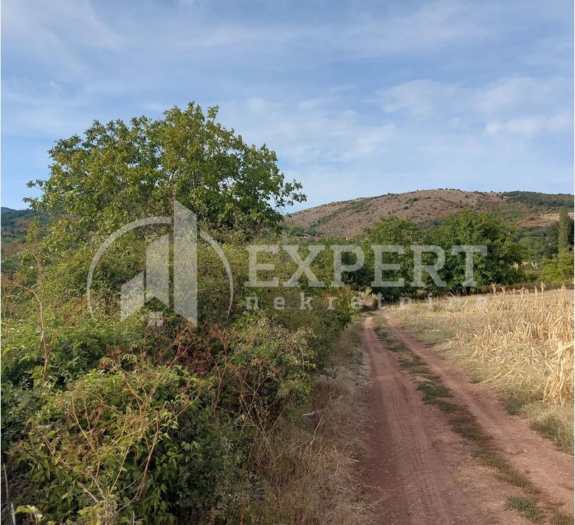 Plac, Knez Selo, Knez selo ID: p-012766 2