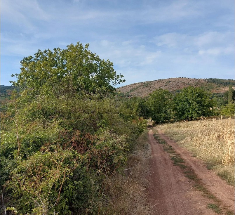 Plac, Knez Selo, Knez selo ID: p-012766 2