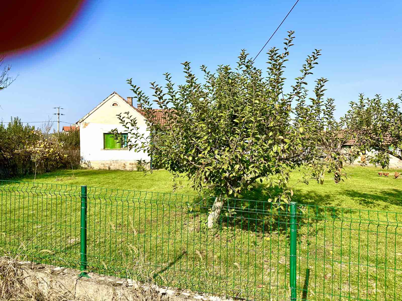 Seosko domacinstvo 285ari Grncara Loznica 2