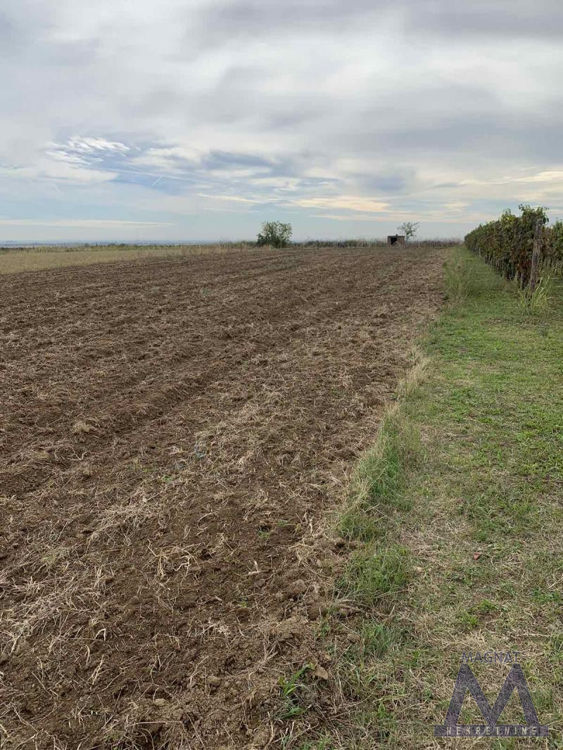 Plac,ČORTANOVCI,BELI VRH,kv: 1314, € 40700, ID: 7000780 1