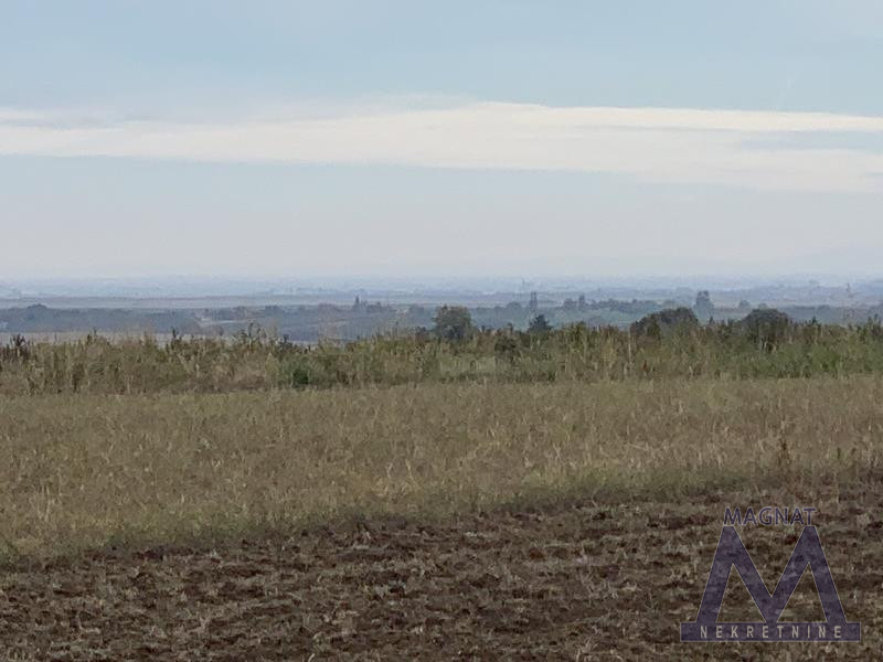 Plac,ČORTANOVCI,BELI VRH,kv: 1314, € 40700, ID: 7000780 2