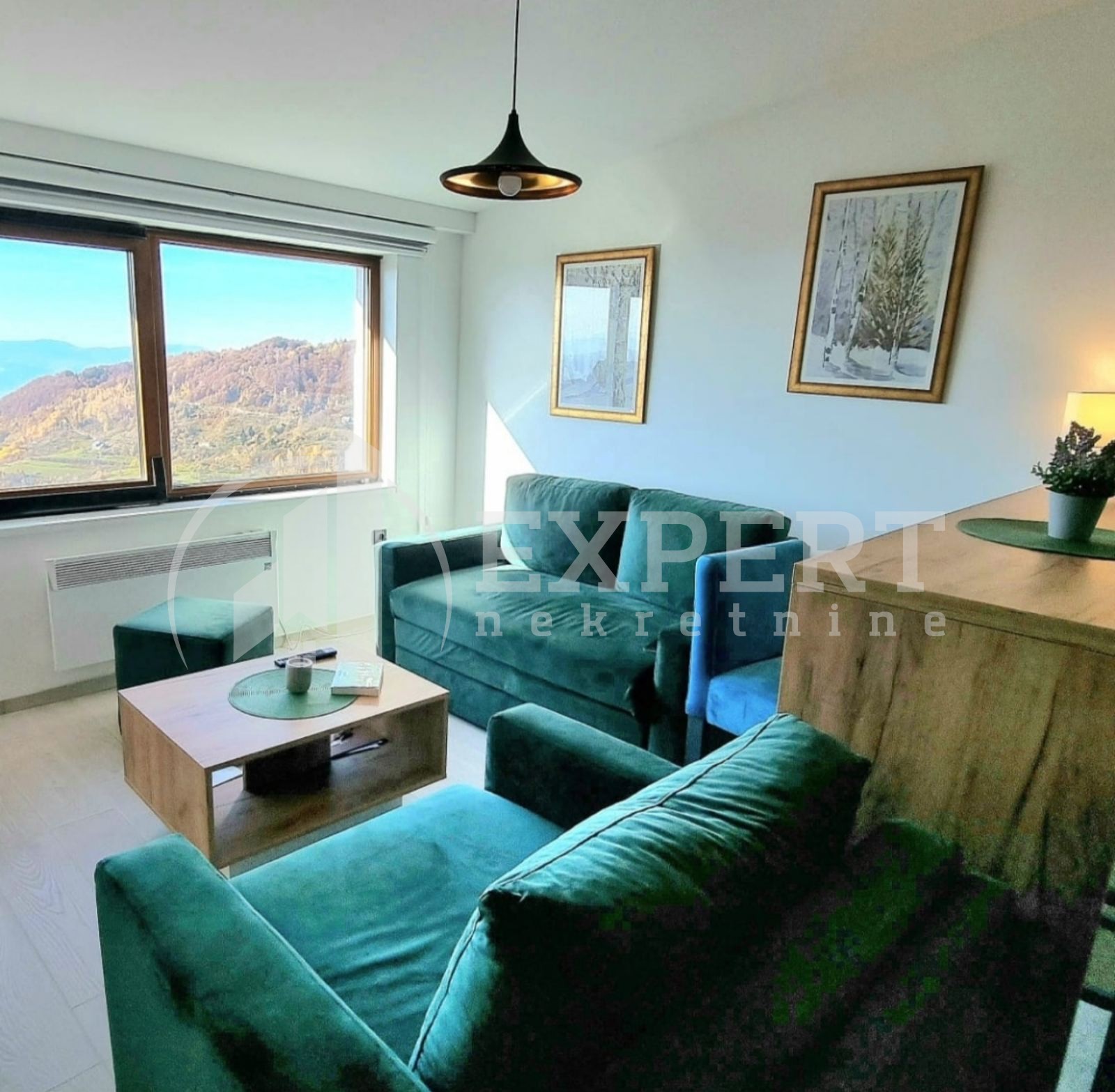 Jednosoban stan, 30 m2, Stefana Prvovenčanog ID: p-012903 2