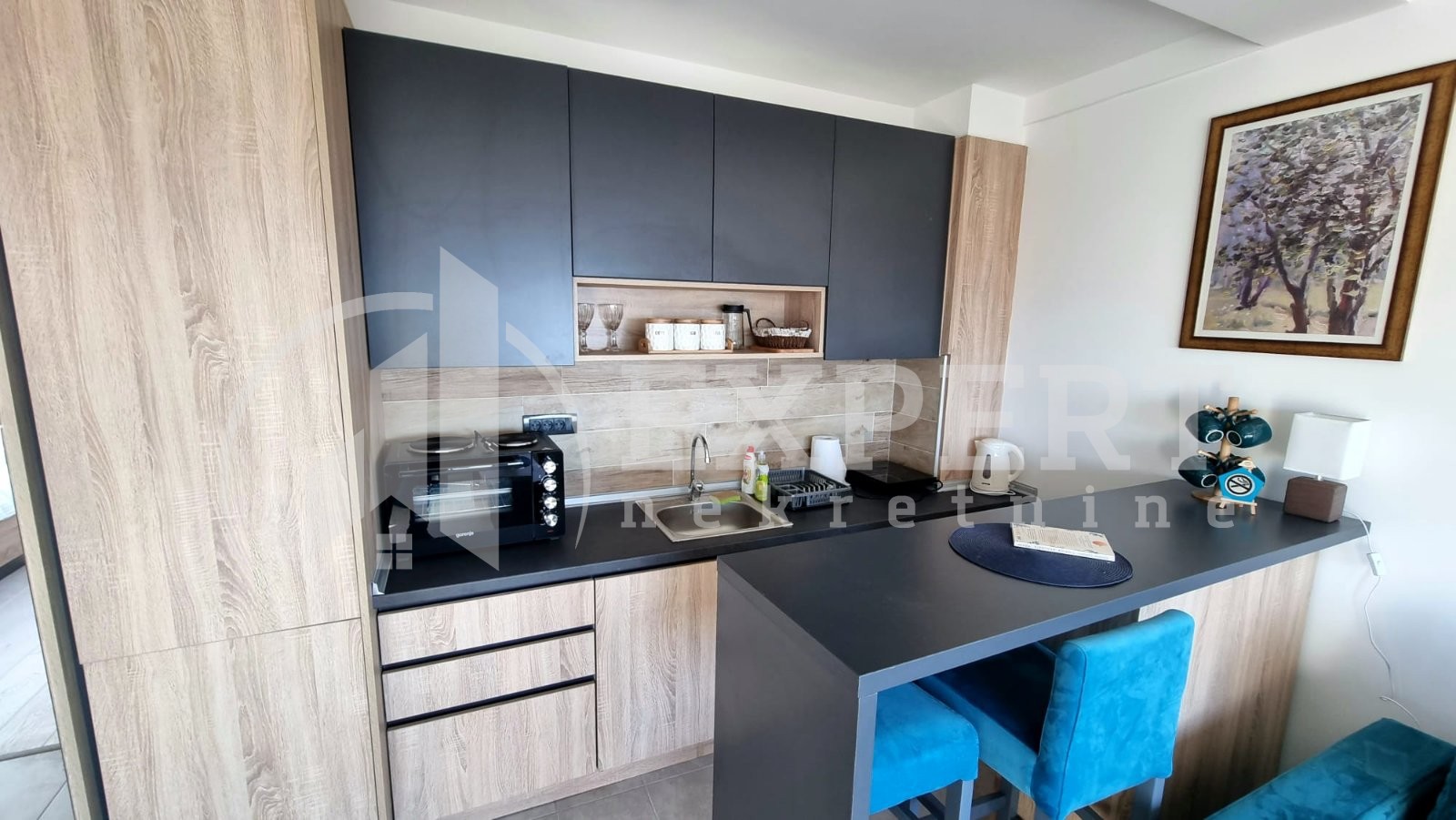 Jednosoban stan, 30 m2, Stefana Prvovenčanog ID: p-012904 3