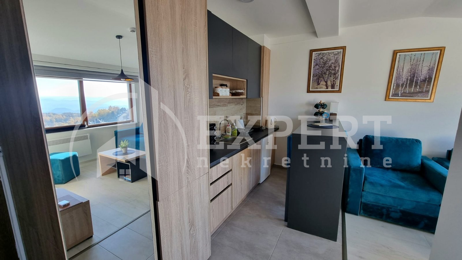 Jednosoban stan, 30 m2, Stefana Prvovenčanog ID: p-012904 4